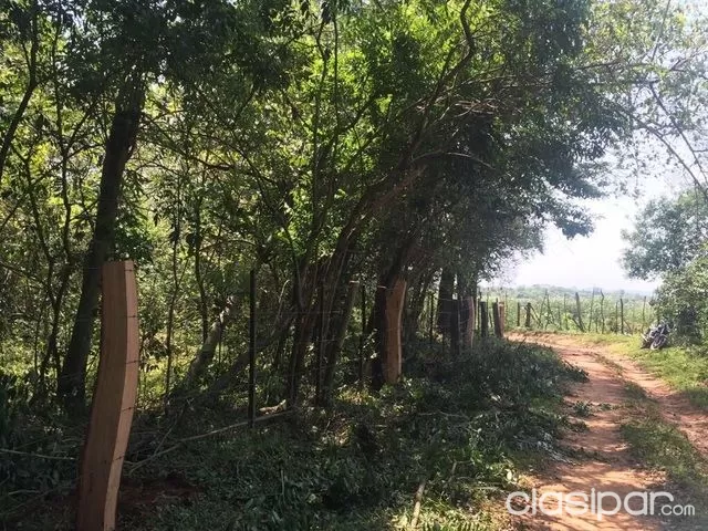 SUPER OFERTA EN ITAPUA SAN PEDRO DEL PARANA VENDO TERRENO DE 60 HAS AGRÍCOLAS TOTALMENTE MECANIZADAS — foto 3