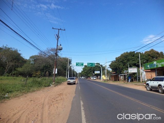 VENDO PROPIEDAD DE 10.000 M2 EN LUQUE — foto 2
