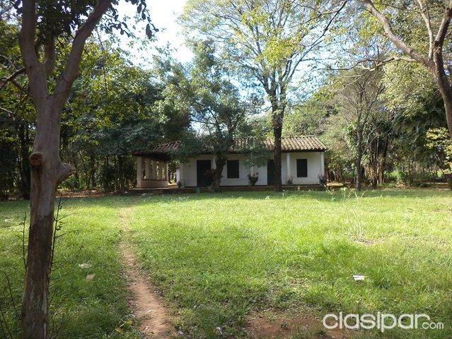 VENDO PROPIEDAD DE 10.000 M2 EN LUQUE — foto 3