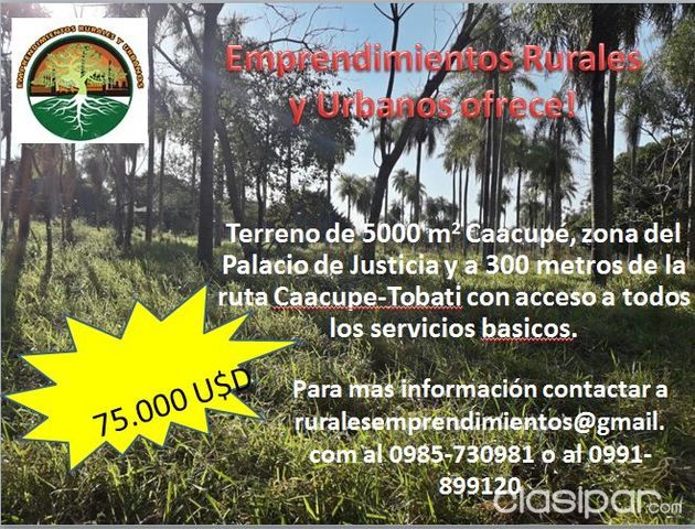 TERRENO EN CAACUPE - OPORTUNIDAD PARA INVERSIONISTAS — foto 2