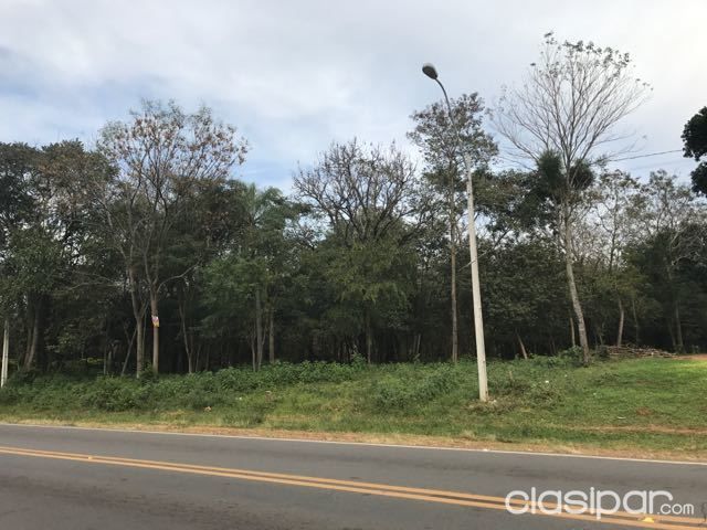 Amplio Terreno Sobre Ruta Ita Itagua — foto 2