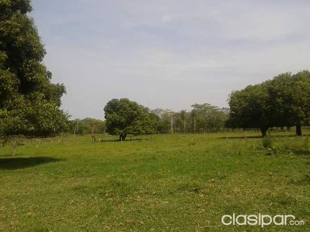 GRANJA DE 15 Hectáreas A 15 kilómetros de CONCEPCIÓN — foto 2