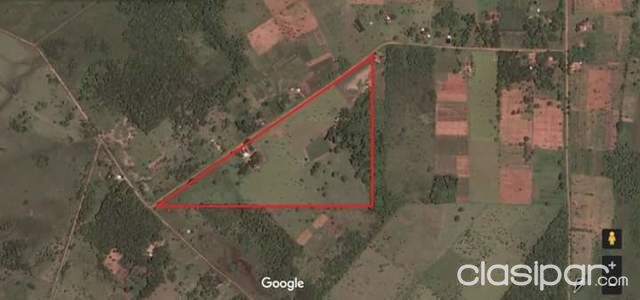 GRANJA DE 15 Hectáreas A 15 kilómetros de CONCEPCIÓN — foto 3