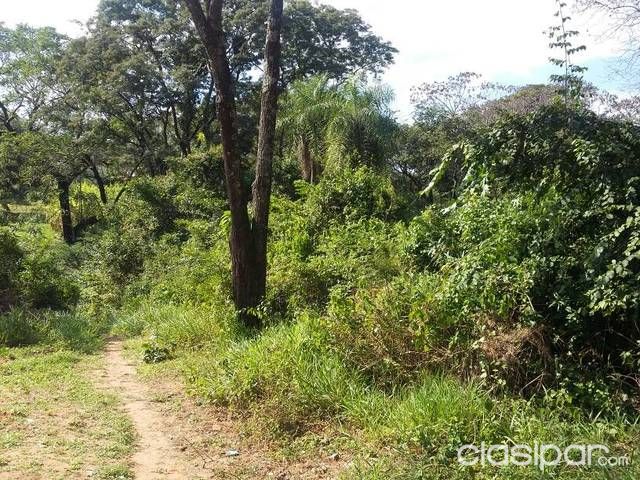 Regalo en Mariano Roque Alonso 6.000 m2 Detras de Rapidito nuevo camino a remanso — foto 2