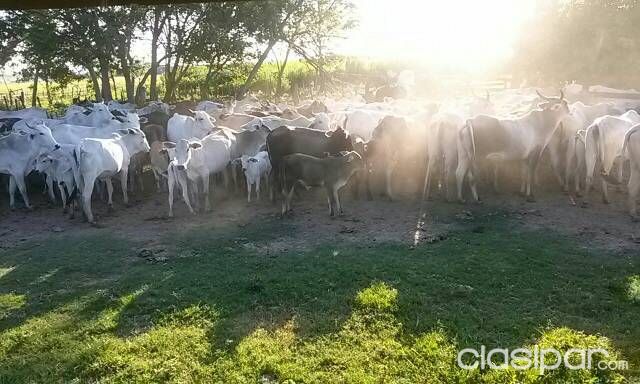 Estancia en super oferta. — foto 2