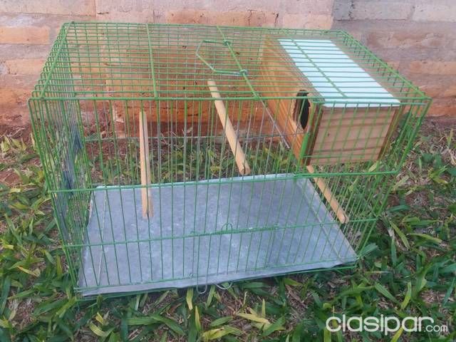 Jaulas para pajaritos pequeños — foto 2