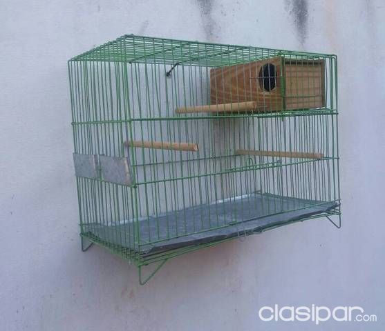 Jaulas para pajaritos pequeños — foto 3