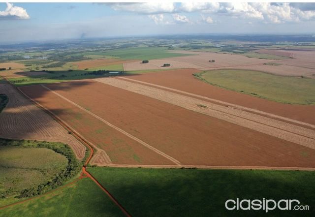 Campo en Hernandarias — foto 3