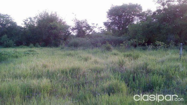 HERMOSO TERRENO EN LUQUE DE 1.000 METROS CUADRADOS — foto 2