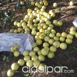 SUPER OFERTA DE 8 HECTAREAS EN BARRERO A 50 METROS DEL ASFALTO — foto 2