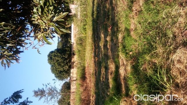 Vendo 6 lotes — foto 2