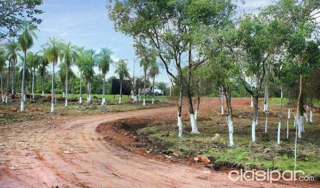 PROYECTARSE EN LO SEGURÓ. ES TENER ALGO PROPIO — foto 3