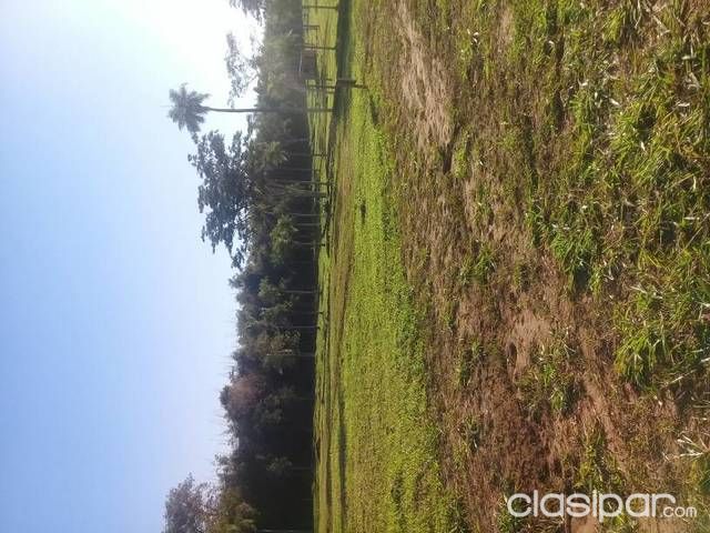 OFERTA INNESPERADA — foto 2
