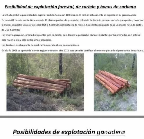 Vendo propiedad en el chaco — foto 2