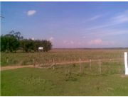 Campo Agricola - Ganadero en Mbocayaty - 275 Has.