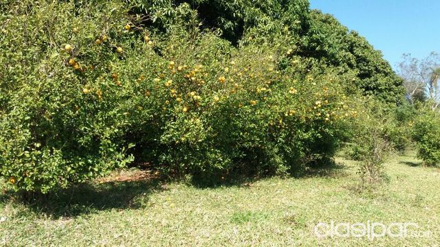 Vendoalquilo GRANJA — foto 3