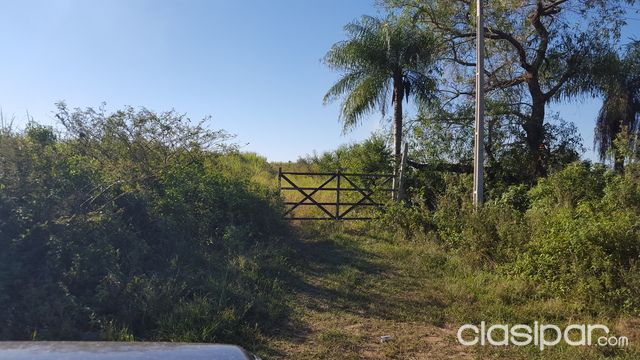 Vendo Terreno de 15 Has en Benjamín Aceval.!!! — foto 3