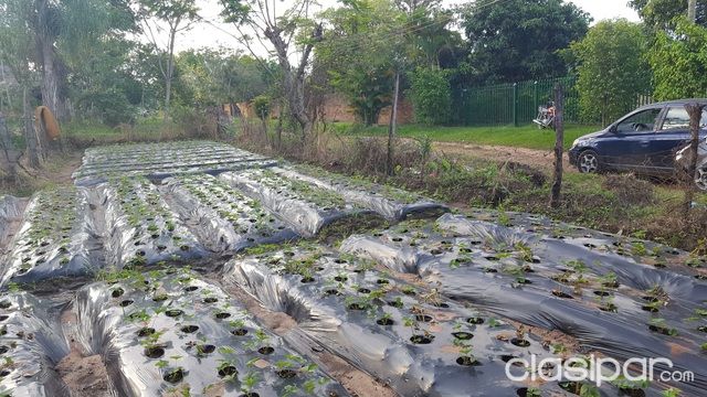 OFERTA POR VIAJE!!!! TERRENO EN AREGUÁ - ESTANZUELA A 1 CUADRA DE LA RUTA — foto 2