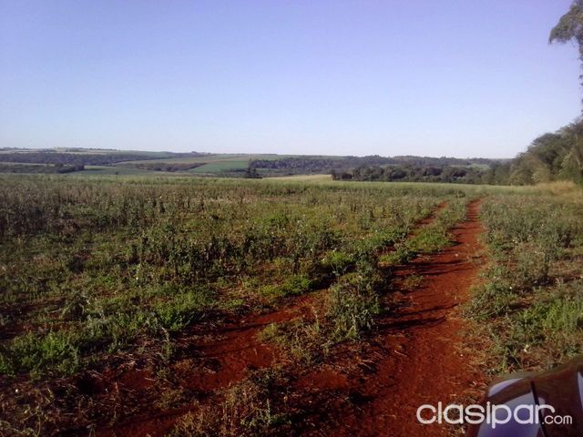 800 has agricolas en Itapua — foto 2