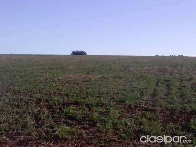 800 has agricolas en Itapua — foto 3