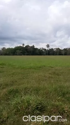 31 Has. Sobre Ruta en Alto Paraná - José D. Ocampos — foto 3