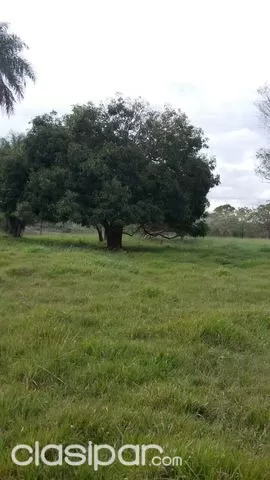 31 Has.Sobre Ruta En Alto Paraná - José D. Ocampos — foto 2