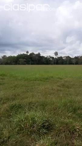 31 Has.Sobre Ruta En Alto Paraná - José D. Ocampos — foto 3