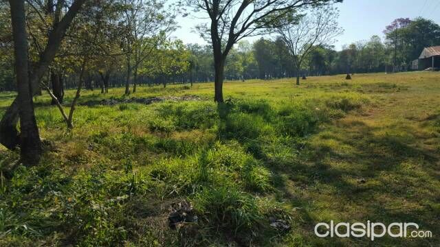 Vendo Terreno 1 Ha. en Caaguazú sobre Ruta VII — foto 2