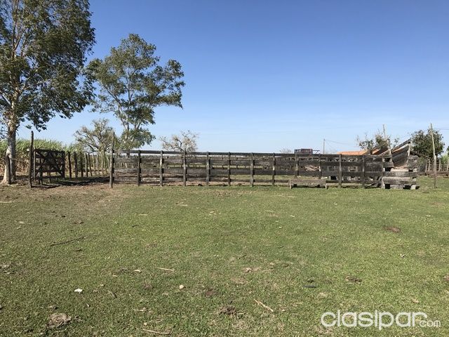TERRENO DE 140 HA — foto 2
