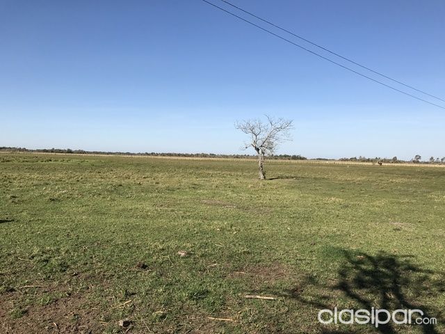 TERRENO DE 140 HA — foto 3