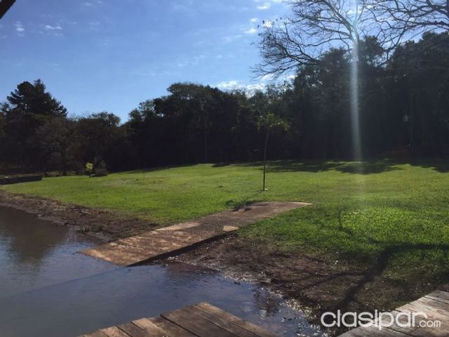 VENDO 19 HECTÁREAS EN HERNANDARIAS — foto 2