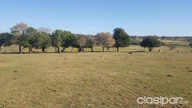OFERTA HERMOSA GRANJA CON CASA QUINTA — foto 3
