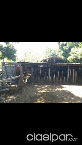 Vendo finca en Emboscada 5 has. Totalmente armada. — foto 3