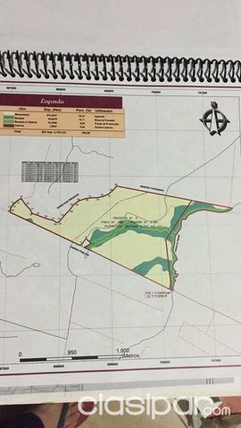 Campo en Alto Paraná — foto 2