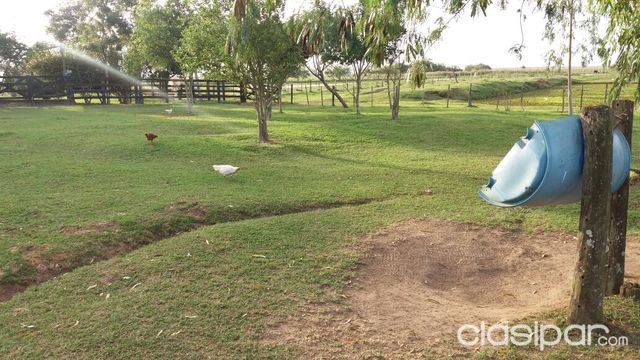 Vendo Campo en Santani — foto 2