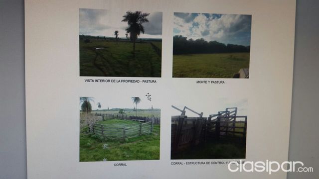Vendo Hermoso Establecimiento Santa Maria Misiones, — foto 2