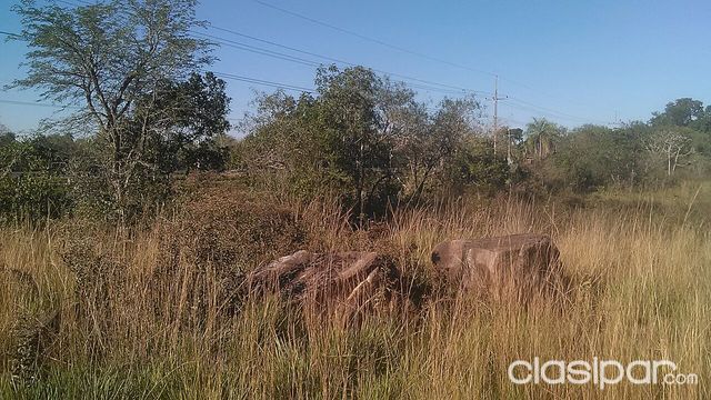 VENDO PROPIEDAD DE 3 HECTÁREAS EN EMBOSCADA. — foto 3
