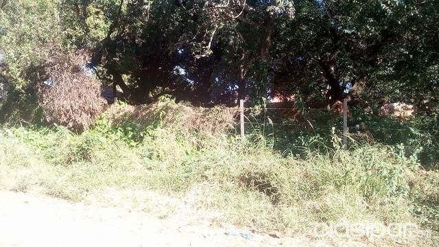 TERRENO EN LUQUE A PASOS DEL PODER JUDICIAL — foto 3