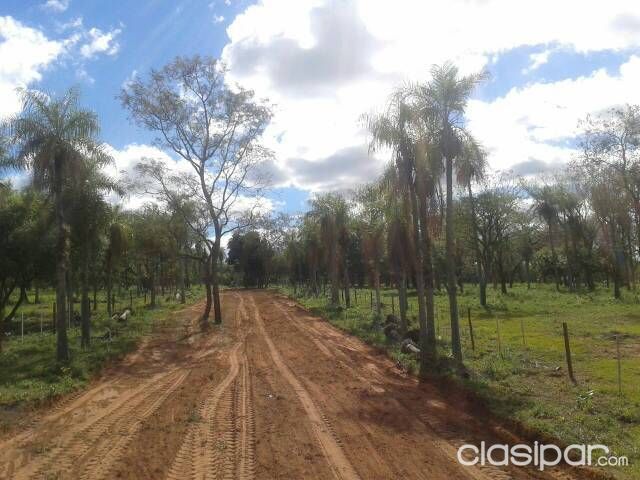 Hermoso terreno en nueva colombia — foto 2