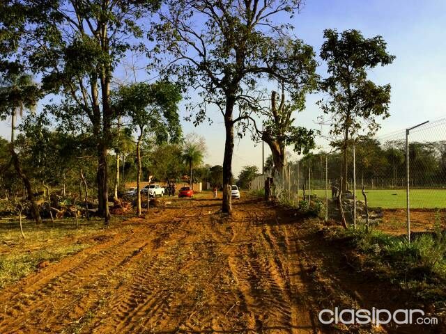 Terrenos en Luque — foto 2