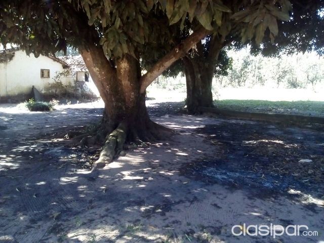 vendo terrono en barrero — foto 3