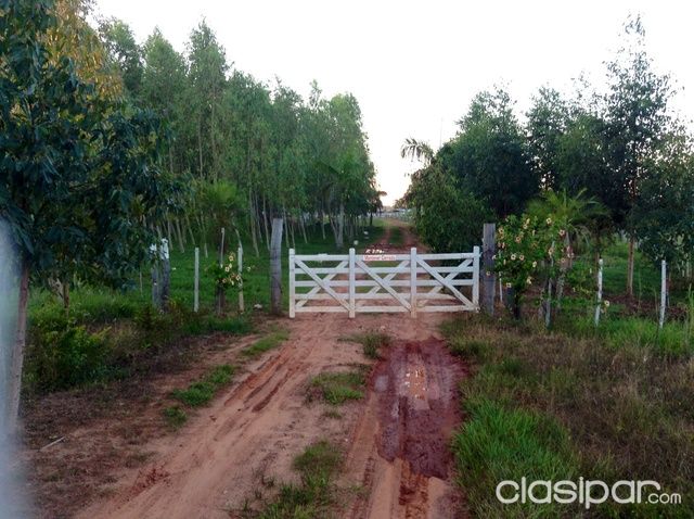 ALQUILO ESTANCIA A 45 Km. DE ASUNCIÓN — foto 3