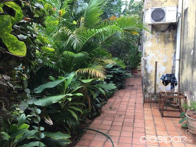 VENDO PROPIEDAD EN BARRIO SEMINARIO ENTRE CHOFERES DEL CHACO Y KUBITSCHEK — foto 3