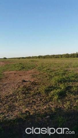 Vendo estancia 1450 ha.Fortin Bogado Alto Paraguay — foto 3