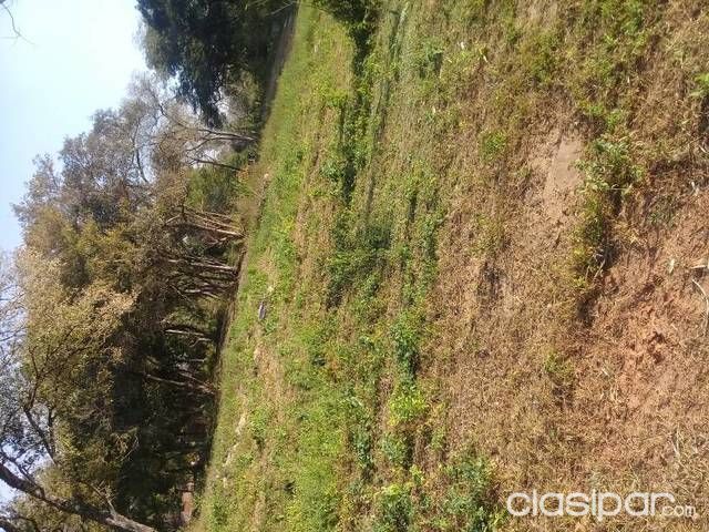 MIMARSE A UNO MISMO ES TENER ALGO PROPIO — foto 2