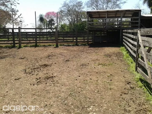 MBUYAPEY PARAGUARI: HERMOSA PROPIEDAD RURAL - 1620 HAS. S RIO TEBICUARY Y TEBICUARYMI - TRABAJADA!! — foto 2