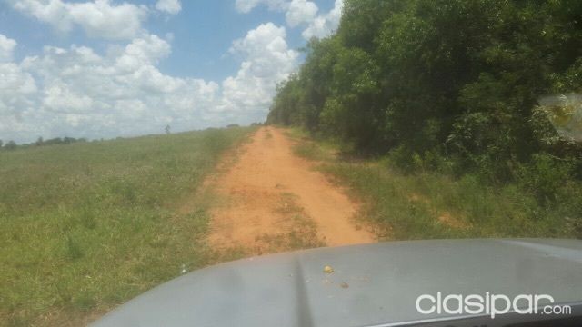 Hermosa propiedad de 18 hectareas en Tacuaty, Camino a Nueva Italia — foto 3