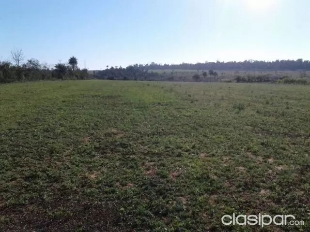 VENDO EN VAQUERÍA SOBRE 1ra LINEA TEKOJOJÁ, 7,5 Hás, PARA CULTIVO(4,5 Hás MECANIZADA). — foto 2