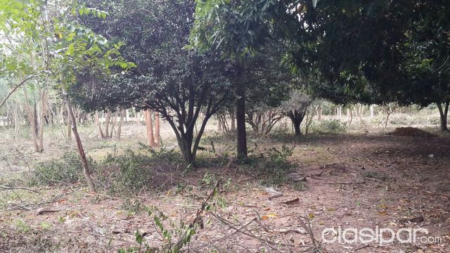 Vendo Terreno en San Bernardino — foto 3