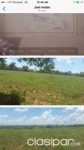 vendo 18 hectares en TACUATY, Camino a Nueva Italia — foto 3